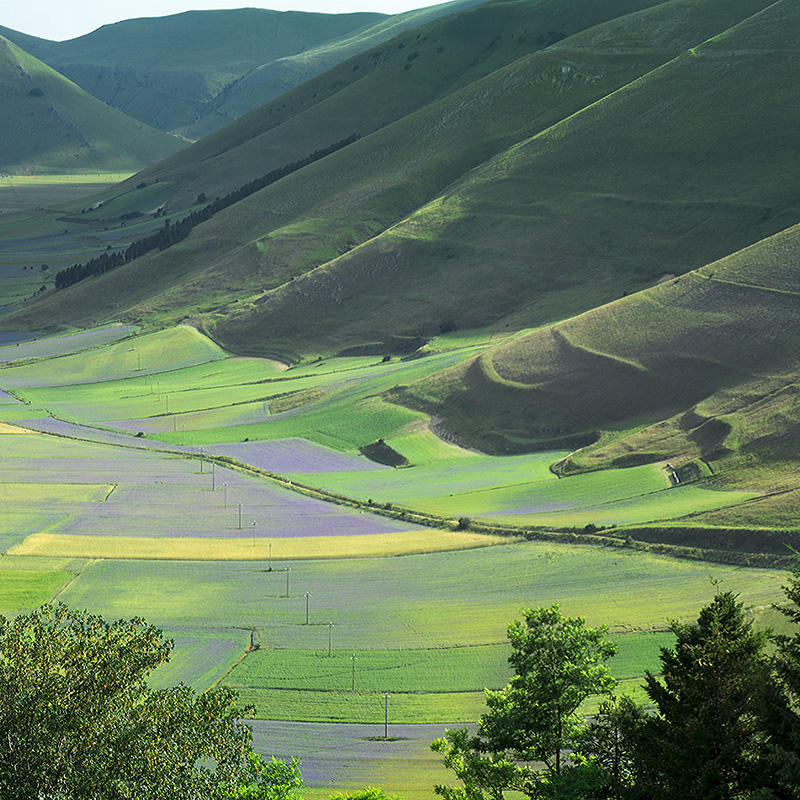 Castelluccio di Norcia